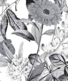 Botanical Candle Box