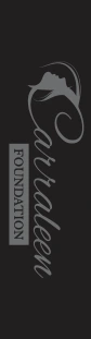 Foundation
