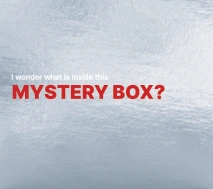 Mystery Gift Box