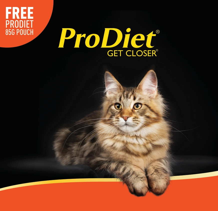 Cat Food Sampling Pack